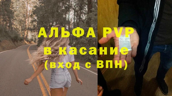 стафф Аркадак