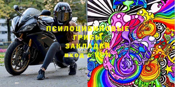 стафф Аркадак