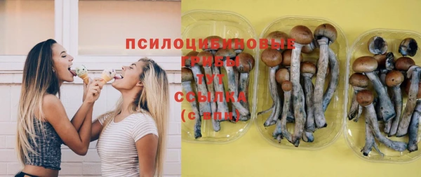 мяу мяу мука Армянск